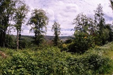 Ausblick Dahler Schweiz