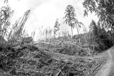 Sturmschaden Dahler Schweiz