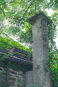 Alter Schornstein Dahler Schweiz