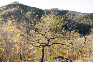 Ausblick Darlingeröder Schweiz