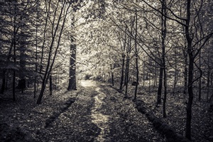 Wanderweg Dithmarscher Schweiz
