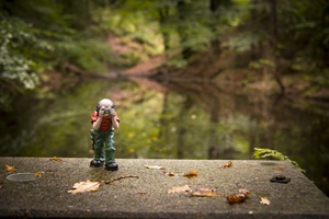Teich Dithmarscher Schweiz