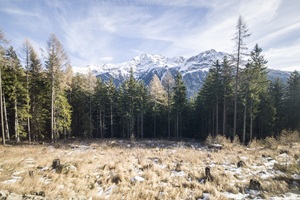 Blick aus dem Bernina Express