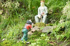 Sinneswald König