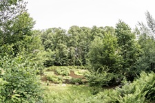 Sinneswald Leichlinger Schweiz