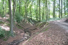 Wanderweg Leichlinger Schweiz