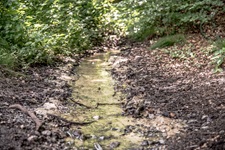 Bachlauf Leichlinger Schweiz
