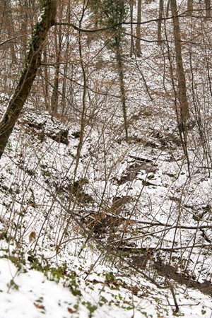 Wanderweg Ebersbach