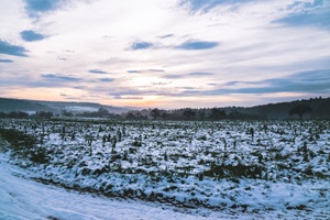 Ausblick Ebersbacher Schweiz