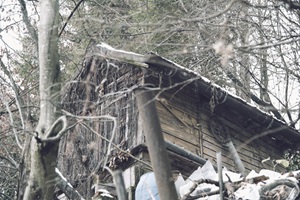 Schuppen Ebersbach