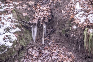 Eiszapfen Eberbach