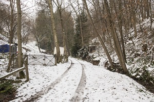 Gärten am Benfingbächle