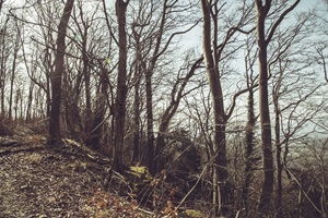 Wanderweg Eichsfelder Schweiz