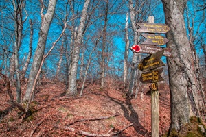 Wanderwege Eichsfelder Schweiz