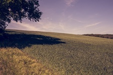 felder Elfringhauser Schweiz