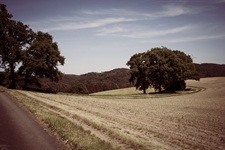 felder Elfringhauser Schweiz