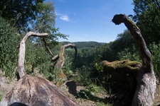 Ausblick Elfringhauser Schweiz
