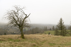 Ausblick Masserberg