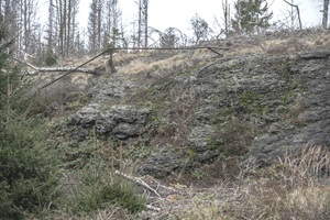 Felsen Fehrenbacher Schweiz
