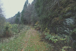Wanderweg Fehrenbacher Schweiz