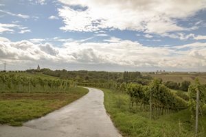 Aussicht Flörsheimer Schweiz