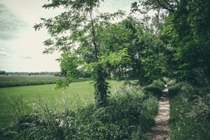 Wanderweg Garbsener Schweiz