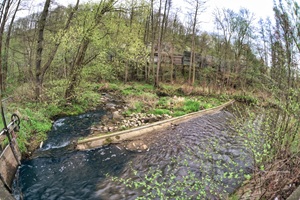 Triebisch Garsebach