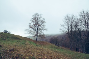 Wanderweg zur Gießübler Schweiz