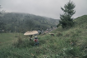 Aussicht Gießübler Schweiz
