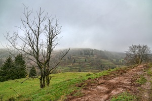 Aussicht Gießübel