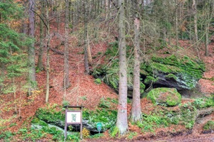 Felsen Gießübler Schweiz