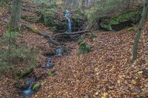 Neuntal Wasserfall Gießübler Schweiz