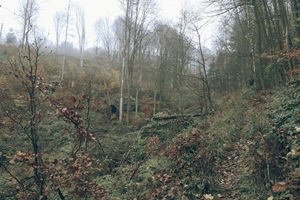 Gießübler Schweiz