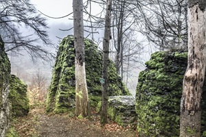 Gießübler Schweiz - 02.11.2024