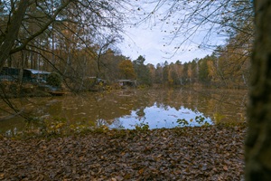 Fuchssee Gniester Schweiz