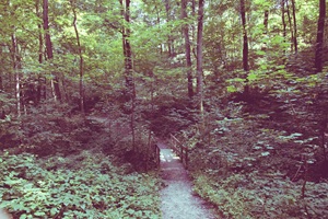 Brücke über den Haibach