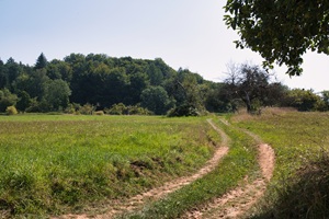 Wanderweg Haibacher Schweiz