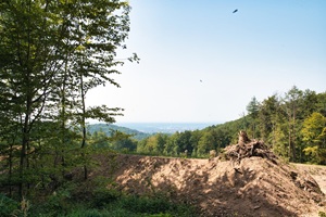 Ausblick Haibacher Schweiz