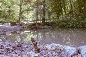 Teich Haibachtal
