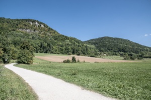 Hersbrucker Schweiz Wanderweg