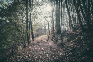 Wanderweg Hessische Schweiz