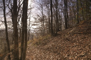 Wanderweg Hessische Schweiz