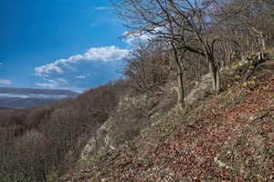 Aussicht Hessische Schweiz