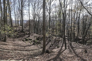 Hessische Schweiz - 03.11.2024