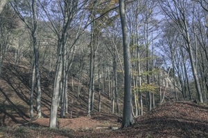 Hessische Schweiz