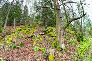 Hetzdorfer Schweiz