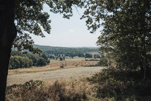 Ausblick Hohburger schweizq
