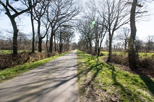 Weg Hoheescher Schweiz