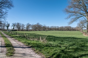 Hoheescher Schweiz - 03.04.3023