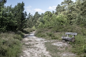 Hügelgräberfeld Borg